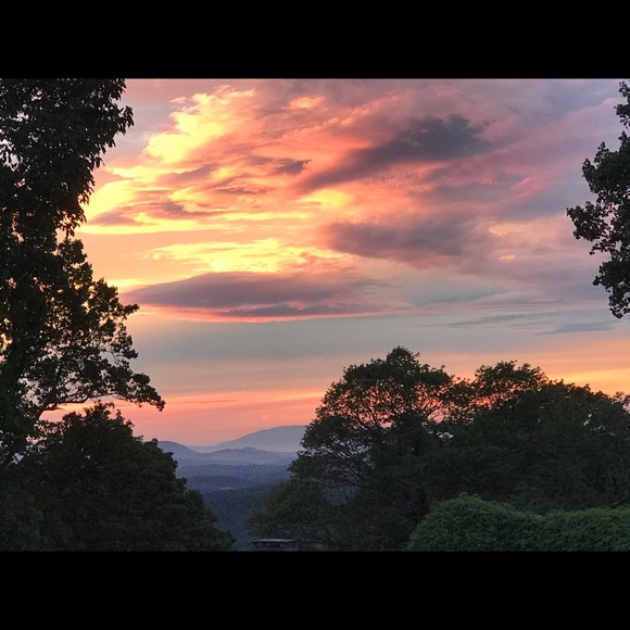 Meet your Posher, Carolyn - Picture 2 of 2